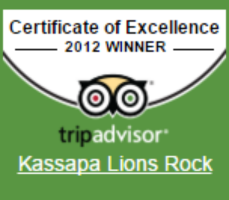Certification 0